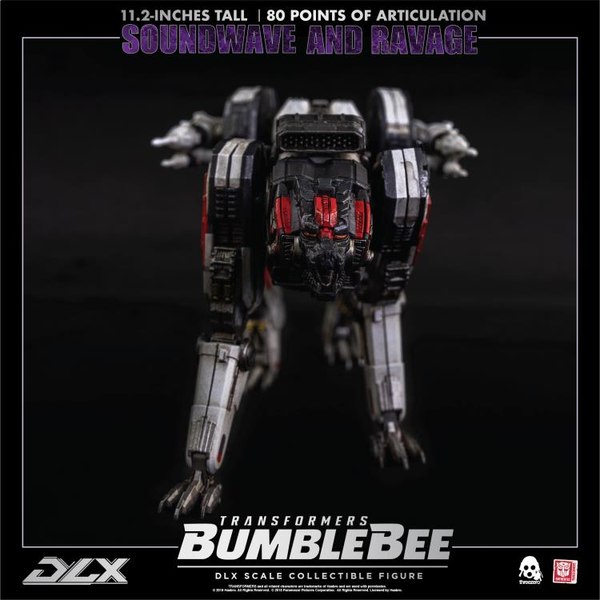 Transformers Dlx Scale Soundave Collectible Series  (19 of 24)